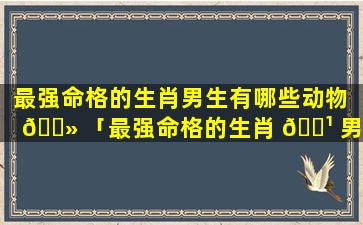 最强命格的生肖男生有哪些动物 🌻 「最强命格的生肖 🌹 男生有哪些图片」